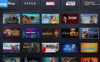 Số người đăng ký mới của Netflix năm 2019 tăng cao
