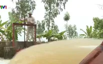 Vượt tiến độ lấy nước đổ ải đợt 1