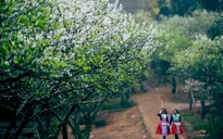 30 Tết - Tết của những người "dịch chuyển"
