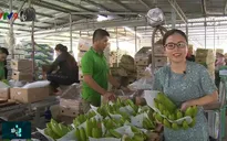 Xuất khẩu trái cây ĐBSCL và những chuyển biến lớn về chất