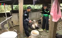 Tết tại huyền miền núi nông thôn mới đầu tiên của khu vực các tỉnh Tây Bắc
