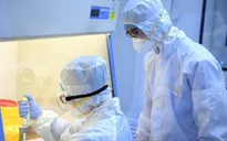 Australia tái tạo thành công virus gây bệnh viêm phổi cấp trong phòng thí nghiệm