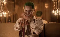 Margot Robbie xác nhận "Joker" Jared Leto sẽ không có mặt trong "Birds Of Prey"