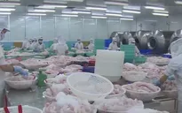 Xuất khẩu thủy sản về đích 8,6 tỷ USD