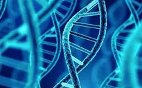 Chỉnh sửa ADN chữa bệnh đột biến gene