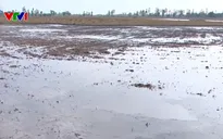 Xâm nhập mặn đến sớm, Bộ NN&PTNT khuyến cáo ĐBSCL chủ động trữ nước ngọt