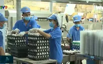 Doanh nghiệp bình ổn thực phẩm tăng năng suất, chất lượng, ổn định giá cả
