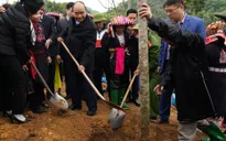 Thủ tướng phát động Tết trồng cây