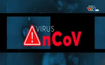 Điểm nhấn: Toàn cảnh dịch viêm đường hô hấp cấp do nCoV ngày 31/1/2020