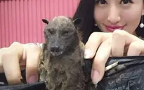 “Hot girl” mạng xã hội gây phẫn nộ vì video ăn thịt dơi trong bối cảnh virus corona đang lây lan