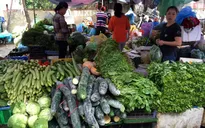 Giá rau ở TP.HCM tăng gấp đôi ngày thường