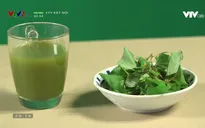Cách làm sinh tố rau diếp cá chữa nhiều bệnh, hạ sốt
