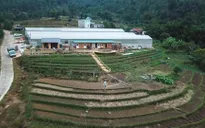 Về thăm Hợp tác xã sở hoa Bình Liêu