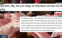Thịt lợn Đức, Mỹ, Hà Lan nhập về Việt Nam chỉ hơn 25.000 đồng/kg