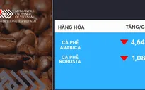 Giá cà phê giảm mạnh