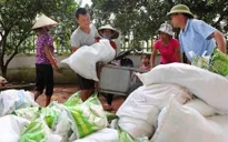 Đề nghị hỗ trợ gần 8.000 tấn gạo cứu đói