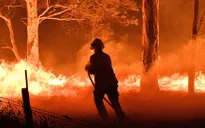 Giữa tâm bão cháy rừng, Australia liên tiếp phát hiện các vụ cố ý phóng hoả