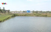 Chủ động thực hiện các giải pháp bảo vệ nguồn nước ngọt