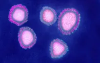 WHO: Dịch viêm phổi lạ tại Trung Quốc có thể liên quan tới một loại virus mới