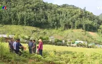 Thoát nghèo bằng việc làm bền vững