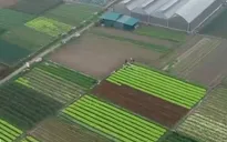 Làm sao để thúc đẩy tín dụng vào nông nghiệp công nghệ cao?