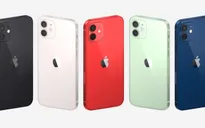 iPhone 12 ra mắt với 4 phiên bản, cải tiến mạnh mẽ về camera