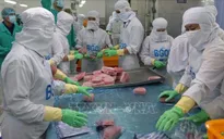 New York Times: "Phép màu" mới của châu Á mang tên Việt Nam