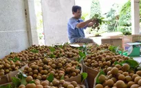 Việt Nam đặt mục tiêu lọt top 5 quốc gia xuất khẩu rau quả lớn nhất thế giới
