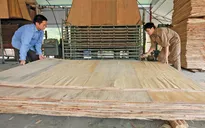 Doanh nghiệp Việt cần làm gì để vượt rào cản phòng vệ thương mại?
