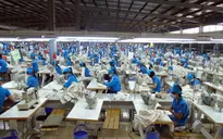 EVFTA - Động lực cho xuất khẩu tiếp tục tăng trưởng