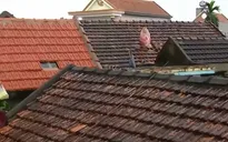 Ưu tiên cấp lương thực cho người dân phải "cố thủ" tại nhà vì nước lũ dâng cao