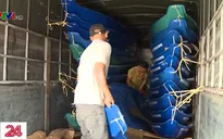 Người dân TP.HCM đồng lòng tiếp sức cho miền Trung