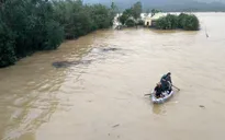 133 người thiệt mạng và mất tích do mưa lũ tại miền Trung