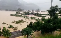 Chưa khi nào Việt Nam phải trải qua thiên tai dồn dập và thiệt hại nặng nề như năm 2020