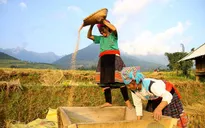 Đổi mới quản lý vốn hỗ trợ phát triển sản xuất cho đồng bào dân tộc thiểu số