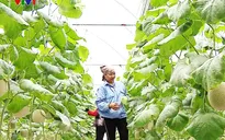 Nâng cao chất lượng cuộc sống người dân là ưu tiên hàng đầu của Hải Dương