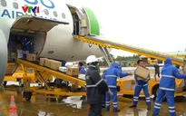 Các hãng hàng không vận chuyển miễn phí hàng hóa cứu trợ miền Trung
