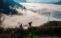 Câu chuyện điểm mạng: "Bom" tour du lịch hay câu chuyện xem mắt?