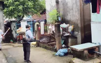 Gia tăng số ca mắc sốt xuất huyết tại Đồng Nai