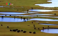 Nhiều biện pháp bảo vệ môi trường sinh thái cho người dân Trung Quốc