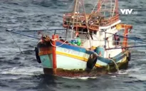 Ngăn chặn tàu cá vi phạm đánh bắt ở vùng biển nước ngoài
