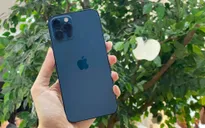 Đắt nhất nhưng người Việt vẫn chuộng iPhone 12 Pro Max