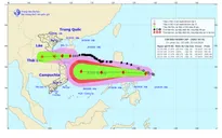 Bão số 8 chưa qua, áp thấp nhiệt đới mới đã mạnh lên thành bão