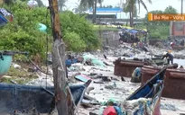Biển "tấn công" đất liền, hàng trăm mét đất bị "nuốt chửng"