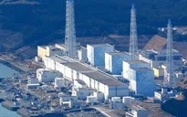 Nước thải từ nhà máy điện hạt nhân Fukushima có thể làm biến đổi ADN