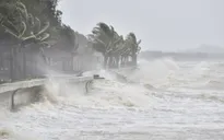 Bão số 13 cách Đà Nẵng - Thừa Thiên Huế khoảng 380km, biển động dữ dội