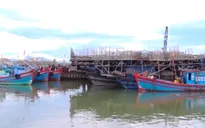 Quảng Nam chủ động triển khai ứng phó bão số 9