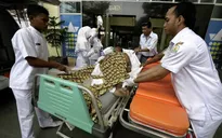 Hơn 250 nhân viên y tế Indonesia tử vong do mắc COVID-19