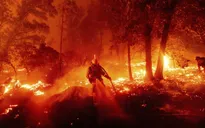 Cháy rừng bùng phát mạnh tại California, khoảng 100.000 người phải đi sơ tán