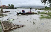 Cơn bão số 9: Cập nhật từng phút trên sóng và nền tảng số của VTV